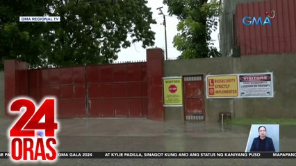 Farm kung saan umano nakatira si Mayor Guo, sarado pa rin; 'di siya pumapasok sa munisipyo | 24 Oras