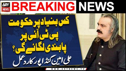 On what basis will government ban PTI? Ali Amin Gandapur raises question