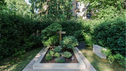 Streit um Kohls Grab: Sohn empört über vernachlässigte Ruhestätte des Altkanzlers