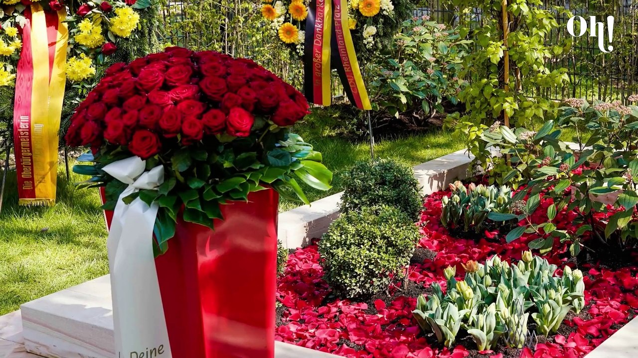 Streit um Kohls Grab: Sohn empört über vernachlässigte Ruhestätte des Altkanzlers