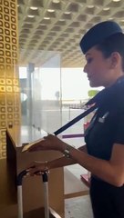 In-flight Services - Cabin Crew -