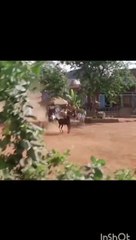 South Indian Bollywood movie clip