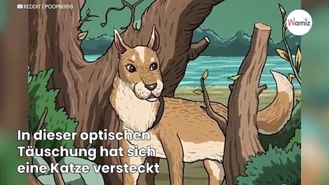 Wirklich knifflig: Wer findet die Katze auf diesem Bild?