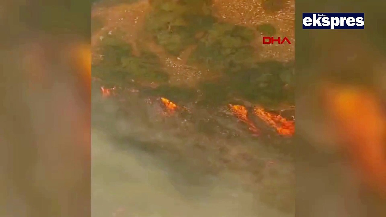 Manisa Soma'da orman yangını devam ediyor