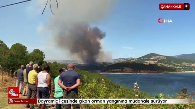 Çanakkale'nin Bayramiç ilçesinde çıkan orman yangınına müdahale sürüyor