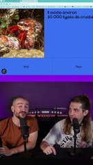 QUIZZ CULTURE G ! Episode 329 ! (Vidéo exclusive dailymotion)