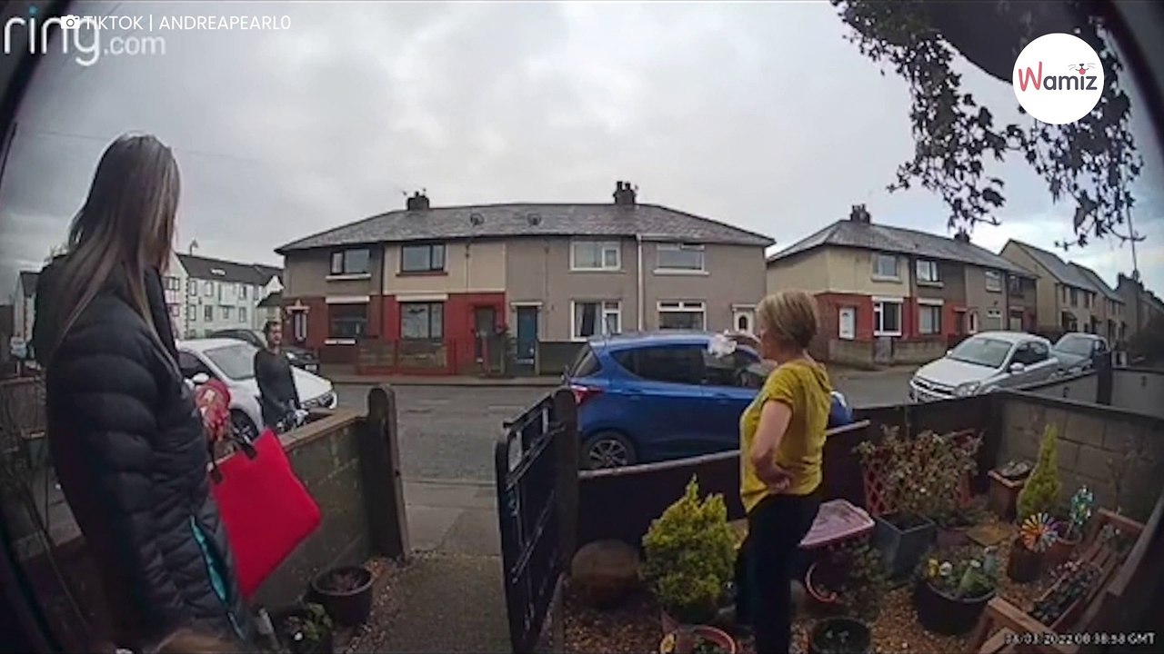 Nachbarin hat die Nase voll vom Hundekot: Ihre Rache geht sofort viral!