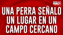 Operativo para encontrar a Loan: perra de rastreo señaló sitio en un campo cercano
