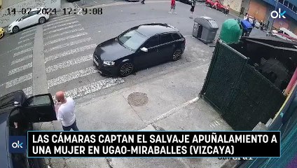 Las cámaras captan el salvaje apuñalamiento a una mujer en Ugao-Miraballes (Vizcaya)