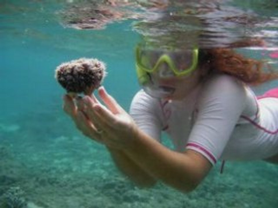 Plongée lagon
