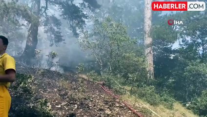 Ormanlık alanda çıkan örtü yangını korkuttu