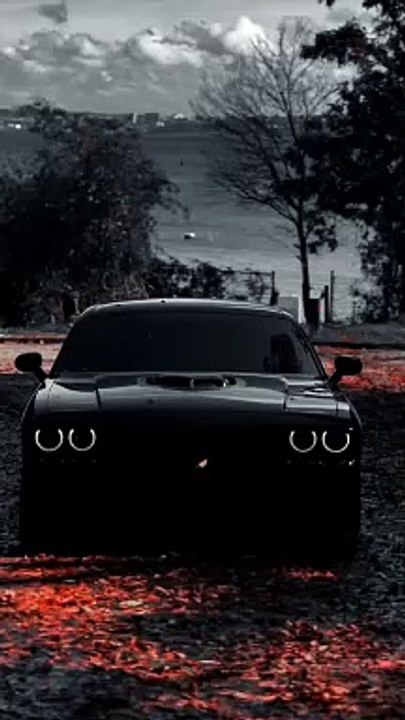 Dream Car