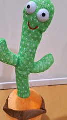 Cactus Charms with Bollywood Dialogues