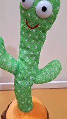 Dancing Cactus Speaks Bollywood Classics