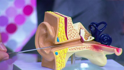 bd-prevenga-la-perdida-auditiva-150724