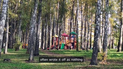 Woodland Elementary School: Playground Confidential