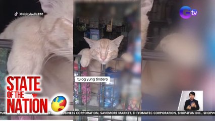 State of the Nation (Part 3) Meow-syadong inaantok na bantay ng tindahan