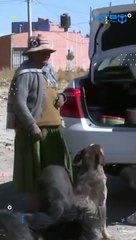 Una joven y su pareja dedican su tiempo y esfuerzo a cuidar de los perritos callejeros