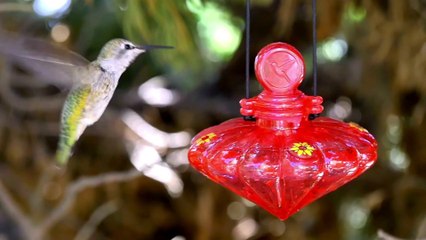 Heartbreaking Hindi Love Song Without You - Sleepless Nights of Loneliness