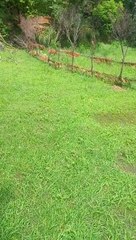 Village views Beuty of my Village