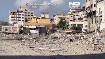 WATCH: Displaced Palestinians make their way back to destroyed Tal al-Hawa