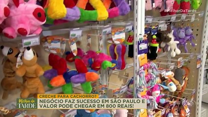 Cães heróis! Animais colocam suas vidas em risco para salvar tutores