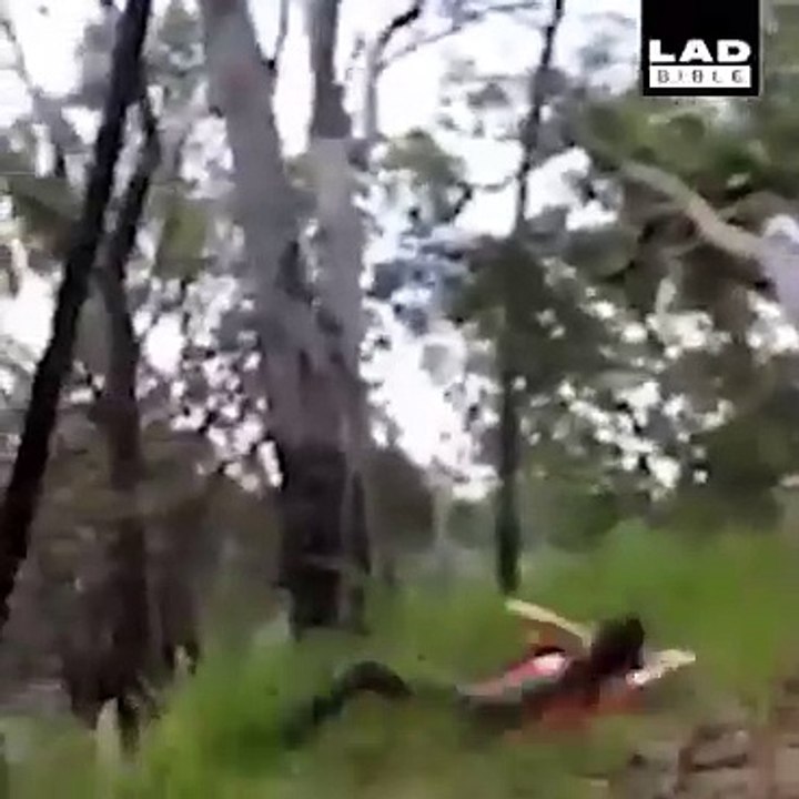 Man is head funny video 