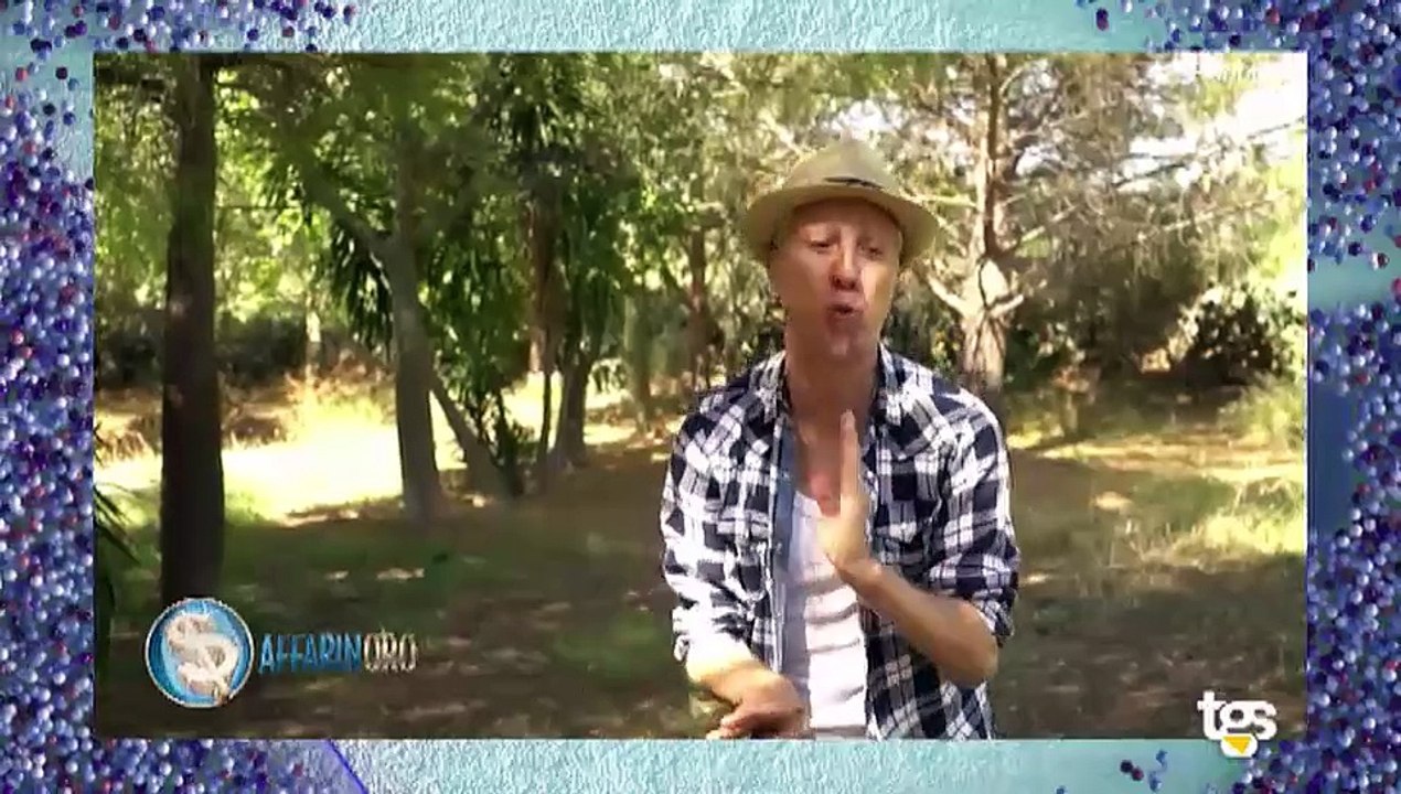 Speciale ritiro: il Palermo giocherà in amichevole contro il Leicester, SportItalia trasmetterà la gara col Monza