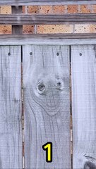 Seeing Faces in Everyday Objects - Part 75