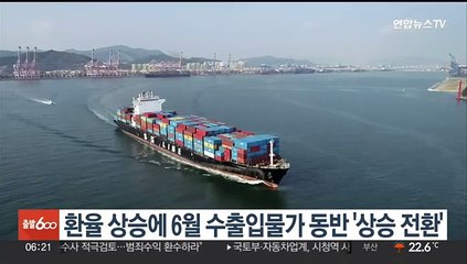 환율 상승에 6월 수출입물가 동반 '상승 전환'