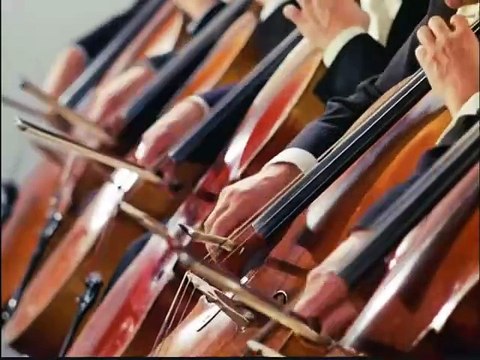 Herbert von Karajan - L.v. Beethoven symphony 7 [finale]