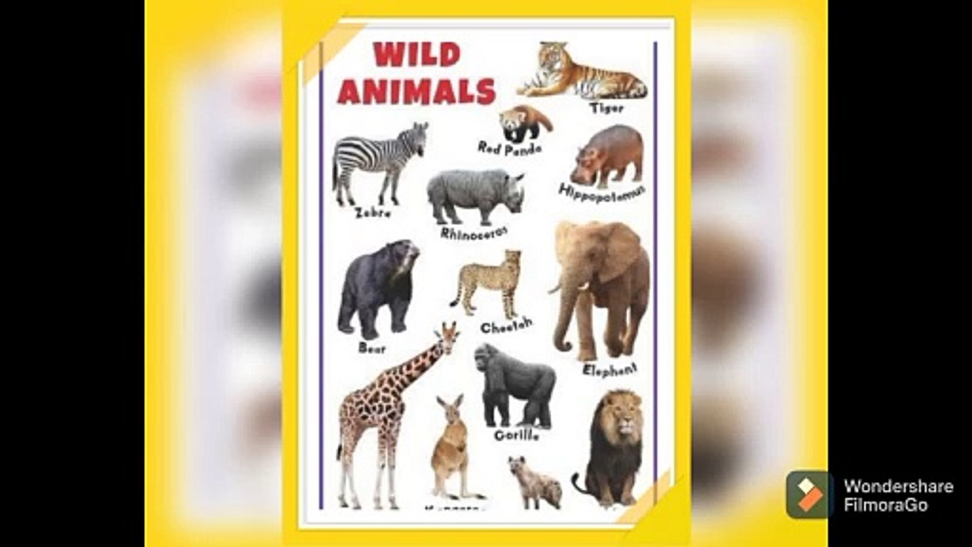 WILD ANIMALS, LOVE TO ANIMALS