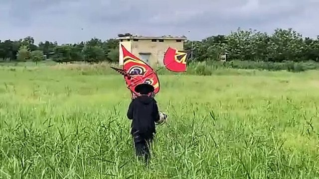 Hội thả diều sáo tại cánh đồng diều 2 đường ấp 3 xã An Phú Tây Bình Chánh gần chợ đầu mối Bình Điền