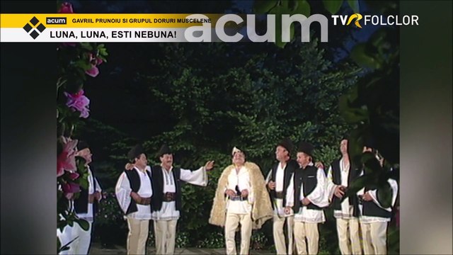 Gavril Prunoiu si Grupul „Doruri muscelene” - Luna, luna esti nebuna (Tezaur folcloric - arhiva TVR)