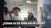 ¿Cómo es la vida en el circo? 