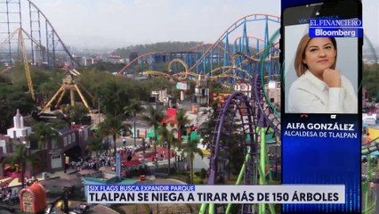 Tlalpan le dice no a la tala de árboles para que Six Flags se expanda