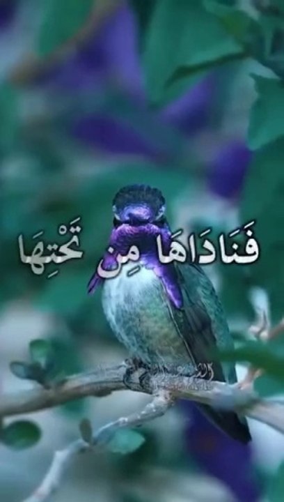 surah mariam