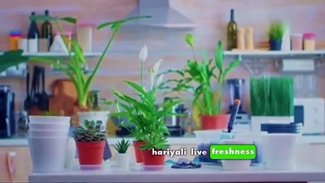 Eco Friendly Home: Top Tip For a Cleaner Environment