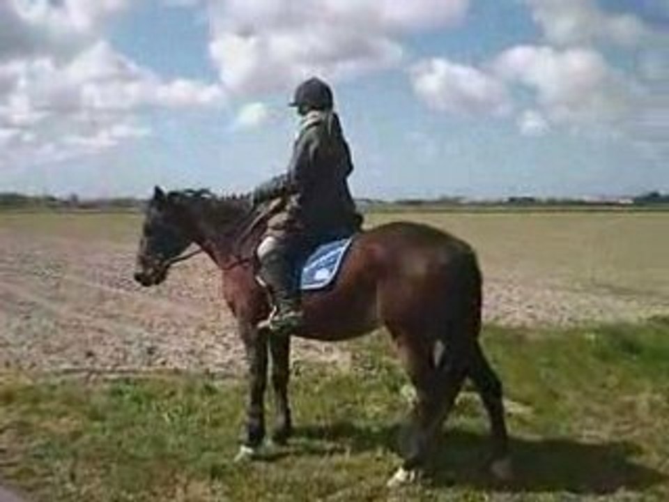 Balade-anne-horlic