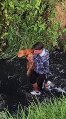 Guy Saves Dog Stuck on Other Side of Fast Flowing Stream