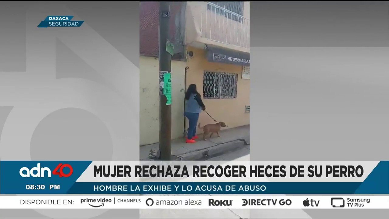 Republicanos eligen a Donald Trump candidato a la presidencia de EE. UU.