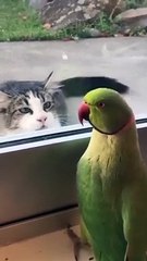 beautiful and Amazing 2024 || watch till End