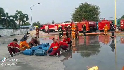 How they train and deal . So Amazing watch till end