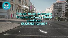 Siapa Pengganti Suzuki Ignis? Fronx Atau Swift?
