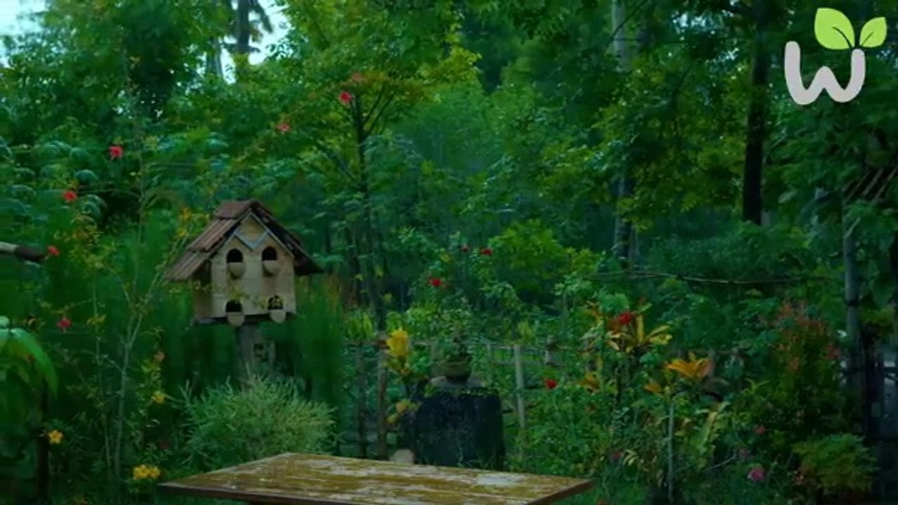 Monsoon Special _ Grilled Chicken Recipes _ A rainy day at village home -Cooking Recipes. _ Village Lifestyle.