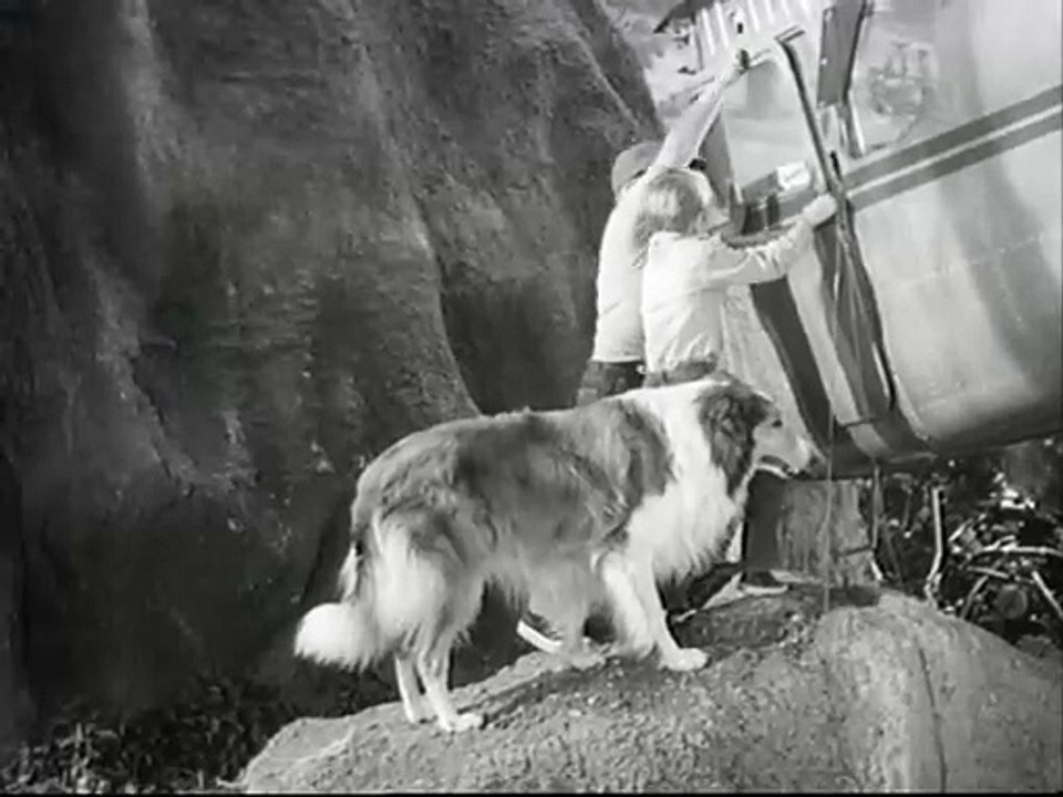 Lassie-Der Goldsucher