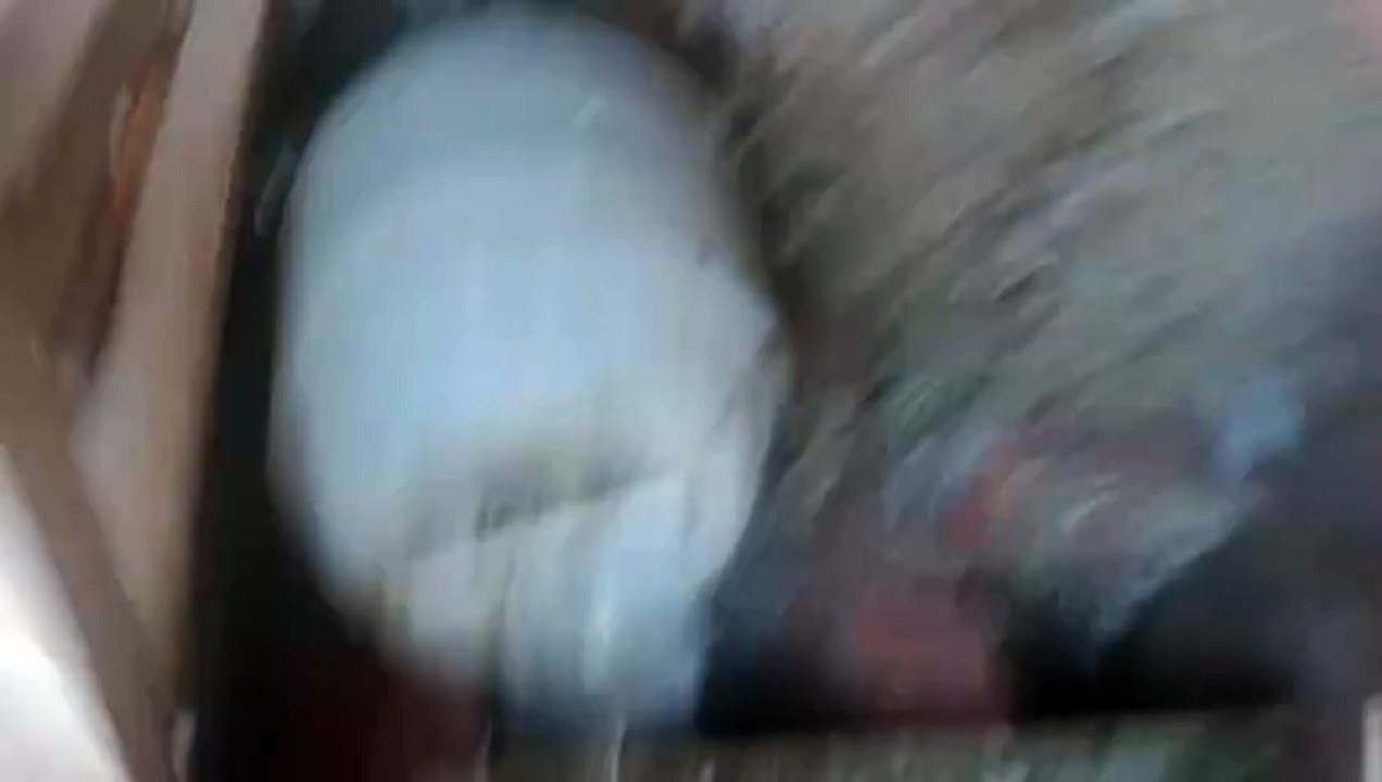 VID20240713062213