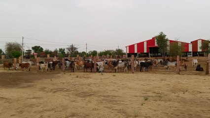 सालों से नहीं मिल रही जमीन, जिला कलक्टर बोले, इनको दिलाओ जमीन