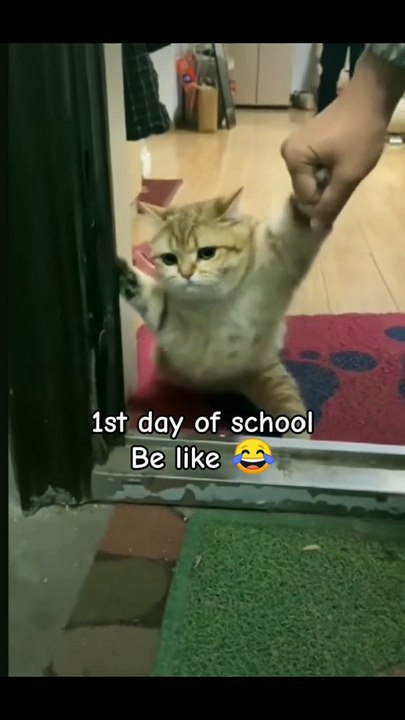 1st day of school be like #shorts
