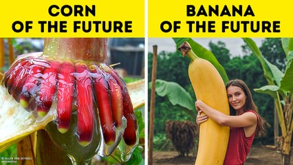 Scientist Found a Plant That Could Change the World